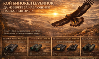 Кой бинокъл Levenhuk да изберете за наблюдение на скалния орел?