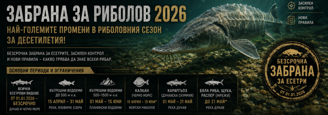 Забрана за риболов 2026 – Пълният гид за новите правила и срокове