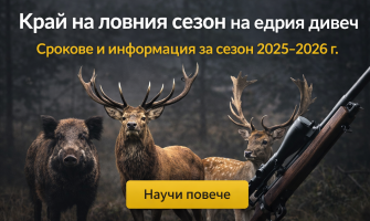 Край на ловния сезон на едрия дивеч 2025–2026 г. – срокове и важна информация