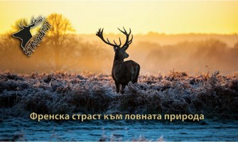 Stagunt - Френска Страст към Лова и Природата: История на Успеха